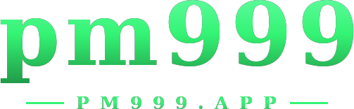 pm999 logo